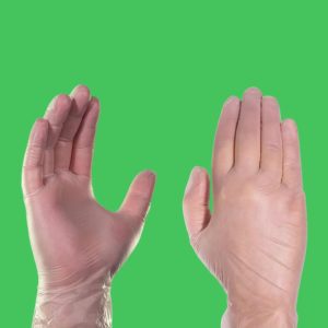 Vinyl Gloves